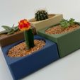 Planter-cactus-06.jpg Planters for Succulent Plants - Modular Stacking Cacti Pots Set