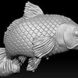 A12.jpg Koi Fish 3D print model