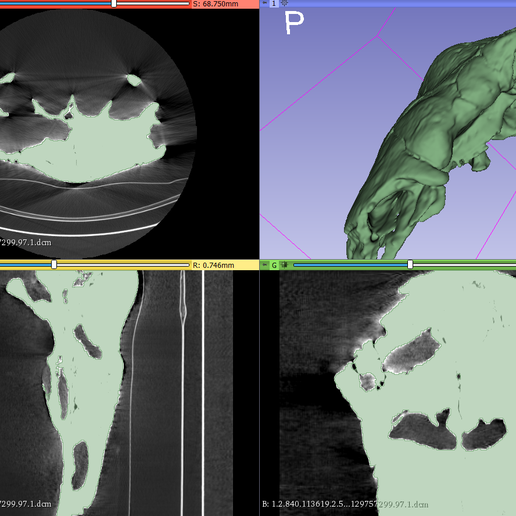 1.png Panoplosarius "vollständig gepanzerte Echse" aus CT
