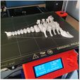 010.jpg STL file Articulated Robot Scorpion・3D printable model to download
