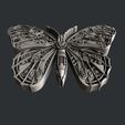 P561-3.jpg Butterfly Steampunk