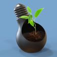 untitled.146d.jpg Bulb Pot