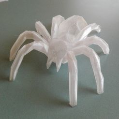 6ed5d51b573f022c14e32006964c82ee_display_large.jpg Free STL file LOWPOLY spider・3D printable model to download