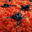 6a672a62b9b33fd38c894761b71dc327_display_large.jpg Free STL file House Spider Fixed・3D printer model to download