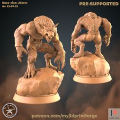 Base size: 25mm PRE-SUPPORTED Nr: 22-07-22 PATREON patreon.com/my3dprintforge Archivo 3D Hombre lobo Nr3 en una roca・Modelo para descargar e imprimir en 3D, My3DprintFORGE