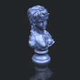 12_Bust_of_Venus_80mmB00-1.png Bust of Venus