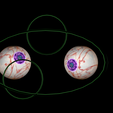 5.png Free rigged textured eyes of piercing sight