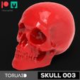R-03.jpg SKULL SKULL 03 skull for decoration