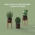 Small Plant Pot Indoor Smart And Plant Pot Stand-01.jpg Small Plant Pot Indoor Smart And Plant Pot Stand
