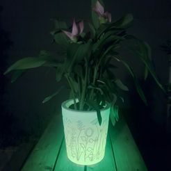 BlumentopfBlumenwieseNacht.jpg Free STL file Illuminated flower pot with hand painted relief・3D printer design to download