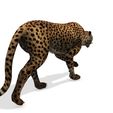 KL.jpg DOWNLOAD Cheetah 3d model - animated for blender-fbx-unity-maya-unreal-c4d-3ds max - 3D printing Cheetah - LEOPARD - RAPTOR - PREDATOR - CAT - FELINE