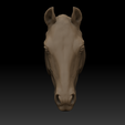 Horse-3.png Horse Head