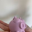 WhatsApp-Image-2022-04-13-at-13.40.48.jpeg Rubber Pig - From Invader Zim!