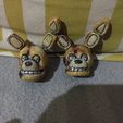 IMG_4374.jpg Spring Bonnie FNAF Movie Articulated Figure