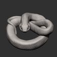 hognose-snakes9.jpg Hognose snakes 3D print model