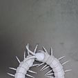 20260510_174209-1.jpg Scolopendra