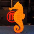print_display_large.jpg Seahorse - Balanced so it stands on its tail!