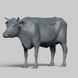 R02.jpg cow pose 03