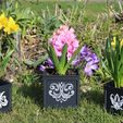 IMG_3706.jpg Gothic Style Plant Pots