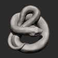 hognose-snakes8.jpg Hognose snakes 3D print model