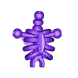 torso.stl скелет