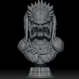 predator.jpg predator bust