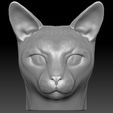 2.jpg Siamese Cat head for 3D printing