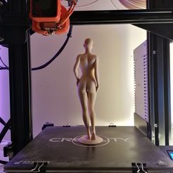IMG_20191029_193250.jpg Free STL file ALICE - Standing Woman Pose・3D printer design to download