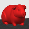 Capture-d'ecran-2025-08-02-142033.png Guinea pig design (Chon)