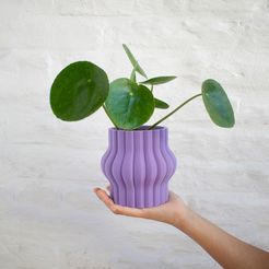 empretienda.jpg STL file Aplaste Pot size small・3D printer design to download