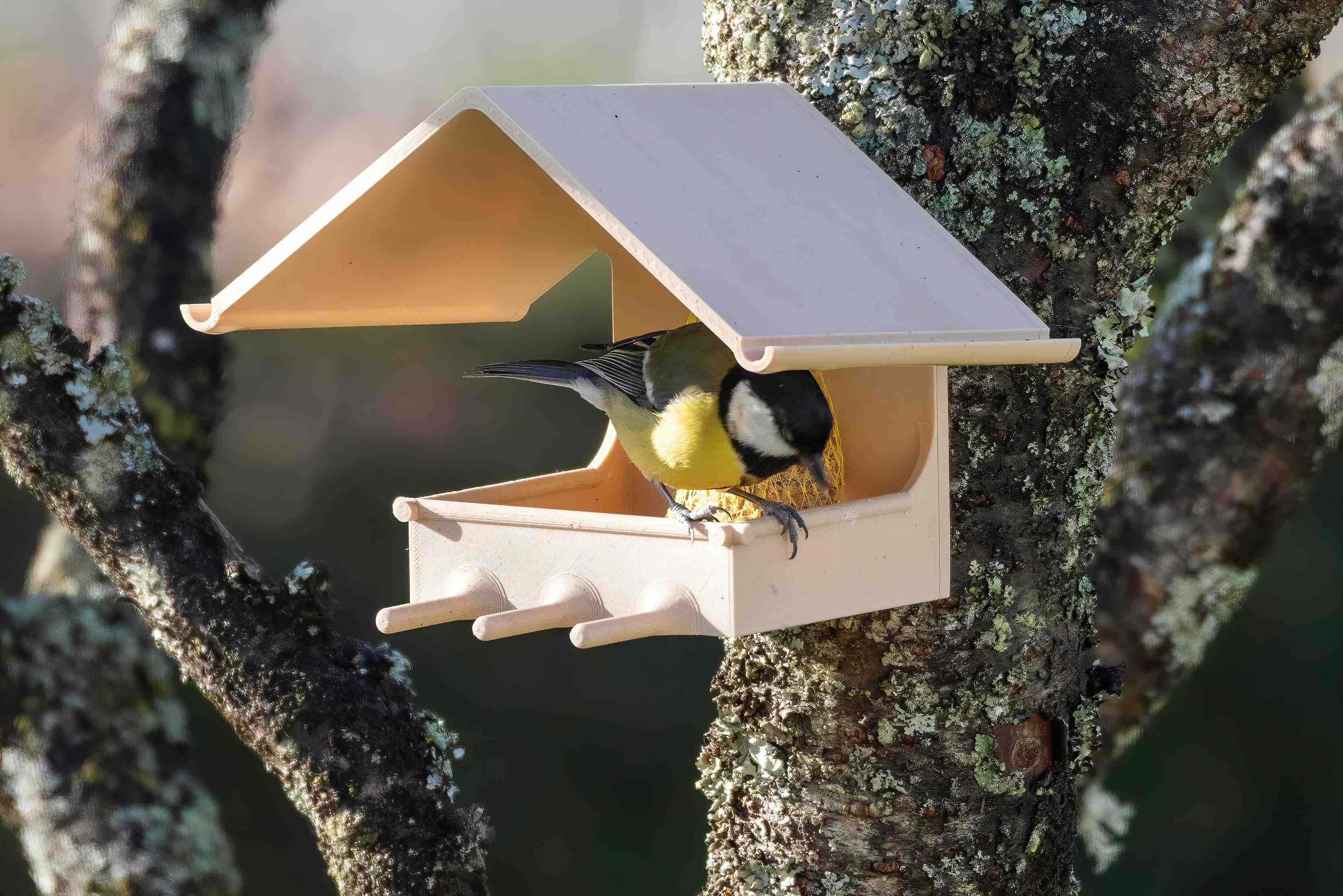 _DSC1378--2.jpg Télécharger le fichier STL gratuit Mangeoire à oiseaux Support boule de graisse / Bird feeder fat ball holder • Objet imprimable en 3D, iphonecesbron