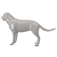 Dog-low-poly02.jpg Chien Low Poly - Usage commercial
