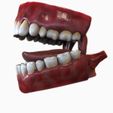 View4.jpg Mouth