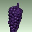 grape4.jpg RAISIN