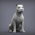 American-Staffordshire-Terrier3.jpg American Staffordshire Terrier 3D print model