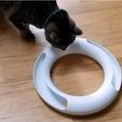 193a90f4617af71158260098b78d313b_preview_featured.jpg Parametric Cat Track Toy