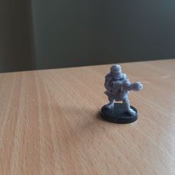Flamme du Raider du désert