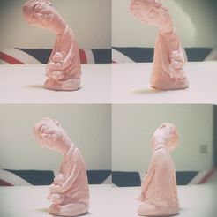 Delight.jpg STL file Accompany・3D printer model to download