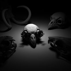 crane.jpg " Skull pack x4 (Pitbull-Mammoth-Chat-Owl) " : 3D file for sale