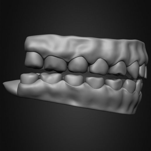 🧪 Highly Detailed Human Teeth・ 3D File for 3D printing・Cults