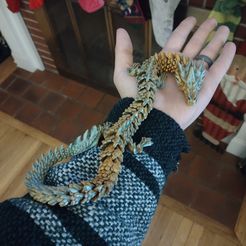 Gelenkiger Drache, Schlange, Spinne und Fisch