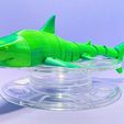 db971340-5617-4282-8ee8-088171b6517b.jpg Flexi Shark & Hammerhead Set