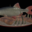 Perlin-11.png fish common rudd statue detailed texture for 3d printing