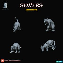 720X720-crrats-1.jpg Archivo STL Ratas de cráneo (preapoyadas)・Modelo imprimible en 3D para descargar