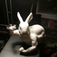 image.png Beefy Bunny Without Front Legs