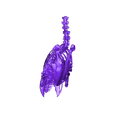 Body_macow.stl Fichier STL gratuit Squelette d'airains d'oiseaux・Modèle à télécharger et à imprimer en 3D