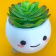 WhatsApp-Image-2024-02-10-at-16.46.30-5.jpeg Cheerful Smiling Pot – Perfect for Succulents