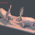 tbrender_013.png Battling Styracosaur diorama