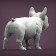 french-bulldog-puppy7.jpg french bulldog puppy 3D print model