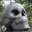 IMG_4817.JPG Skull with diamonds